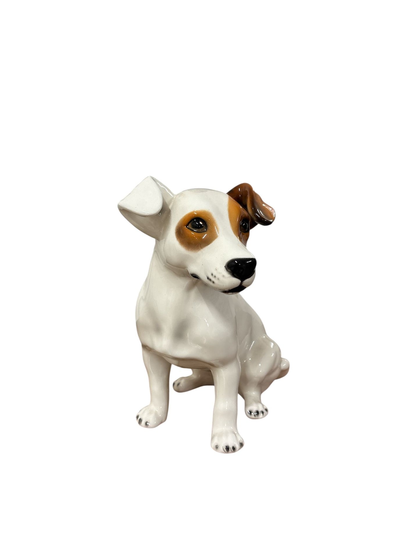 Jack Russell in ceramica smaltata, lavorato e dipinto a mano in Italia. In questa vista, si notano i dettagli realistici del muso e delle orecchie, uno dei tratti distintivi di questo oggetto decorativo artigianale.