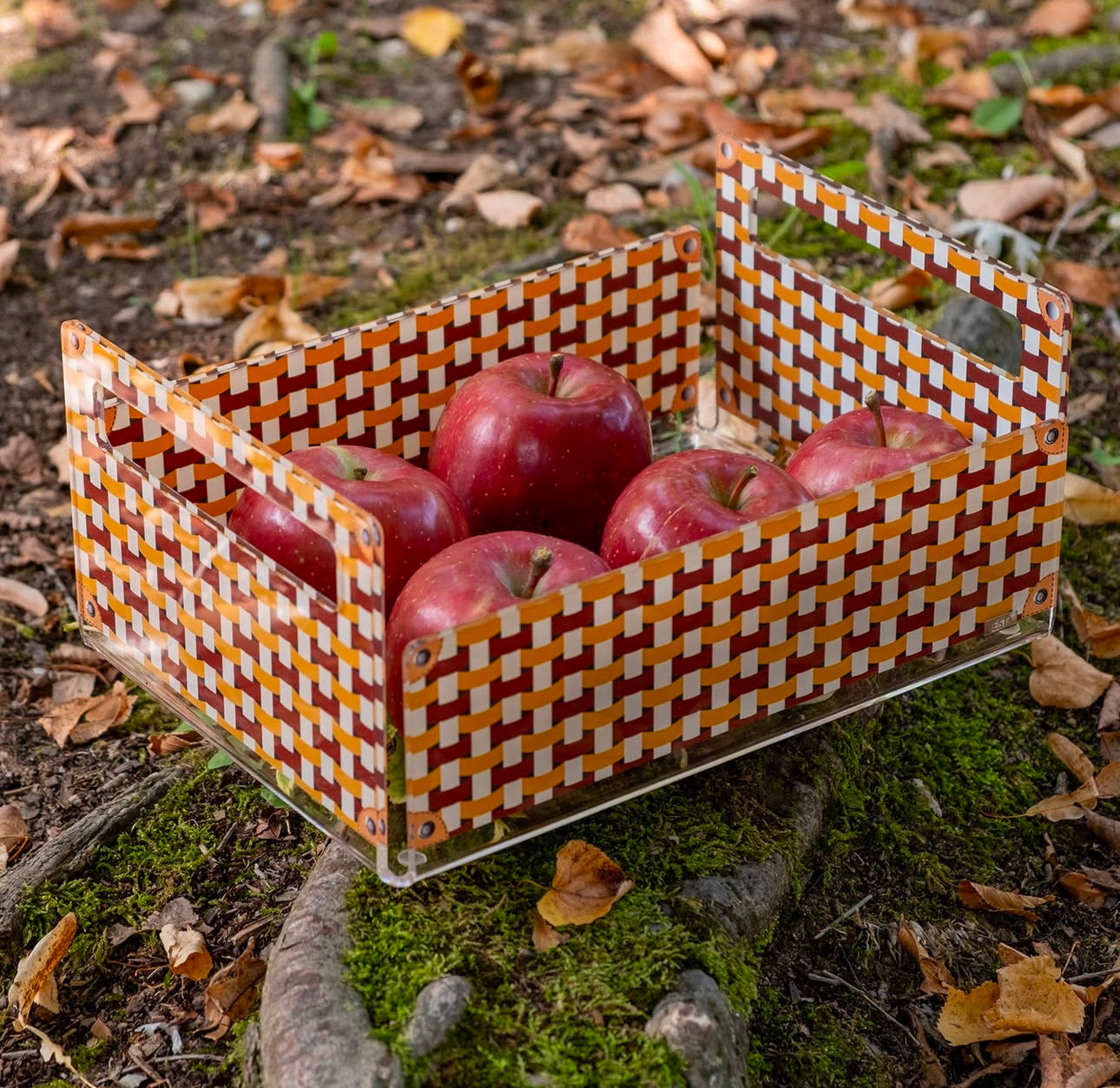 Cassetta portaoggetti Vesta in cristallo acrilico con design moderno, adatta a cucina, bagno, barca, giardino, e spazi outdoor eleganti. Disponibile in due colori: arancione e celeste