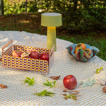 Cassetta portaoggetti Vesta in cristallo acrilico con design moderno, adatta a cucina, bagno, barca, giardino, e spazi outdoor eleganti. Disponibile in due colori: arancione e celeste