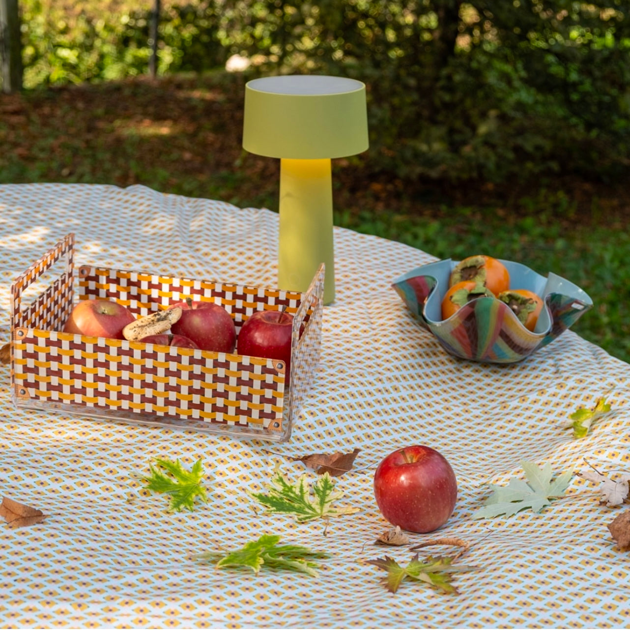 Cassetta portaoggetti Vesta in cristallo acrilico con design moderno, adatta a cucina, bagno, barca, giardino, e spazi outdoor eleganti. Disponibile in due colori: arancione e celeste