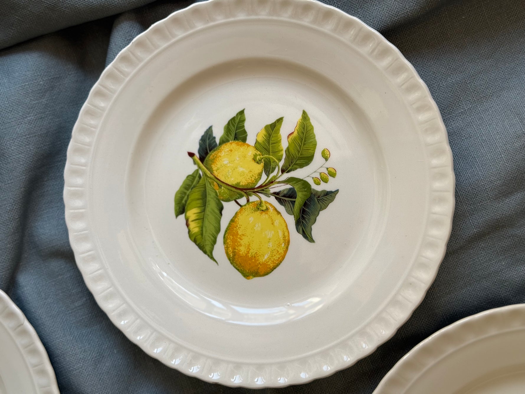 Piatto vintage con limoni e foglie, vista dall’alto su tessuto