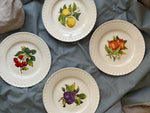 Composizione di piatti vintage decoro frutta assortiti su tessuto elegante
