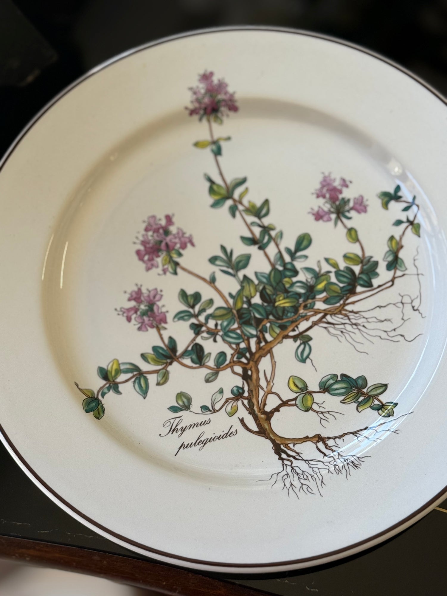Piatto vintage Villeroy & Boch Botanica in porcellana con decorazione botanica e diametro 21 cm