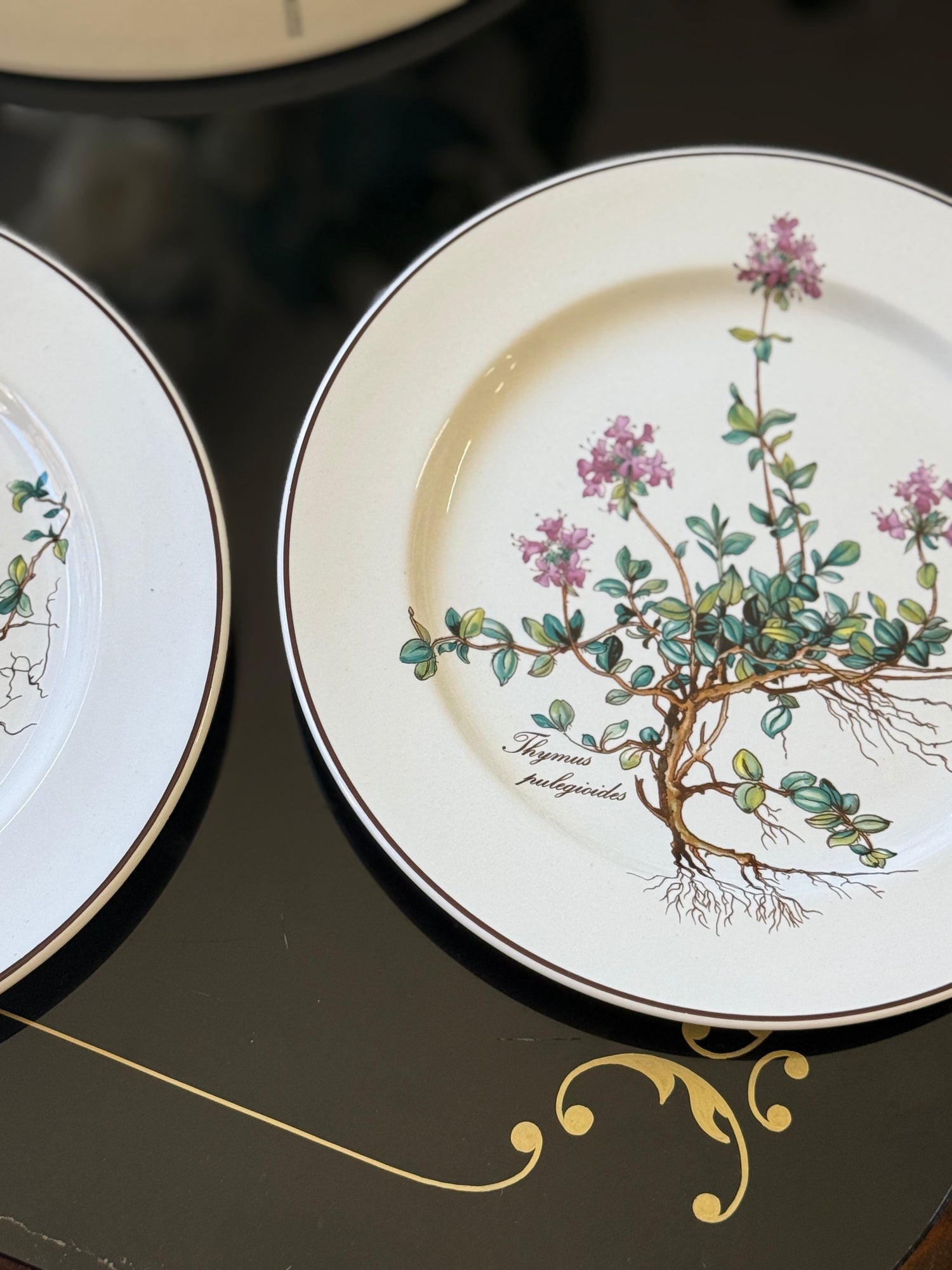 Coppia di piatti vintage Villeroy & Boch Botanica con decoro botanico su porcellana