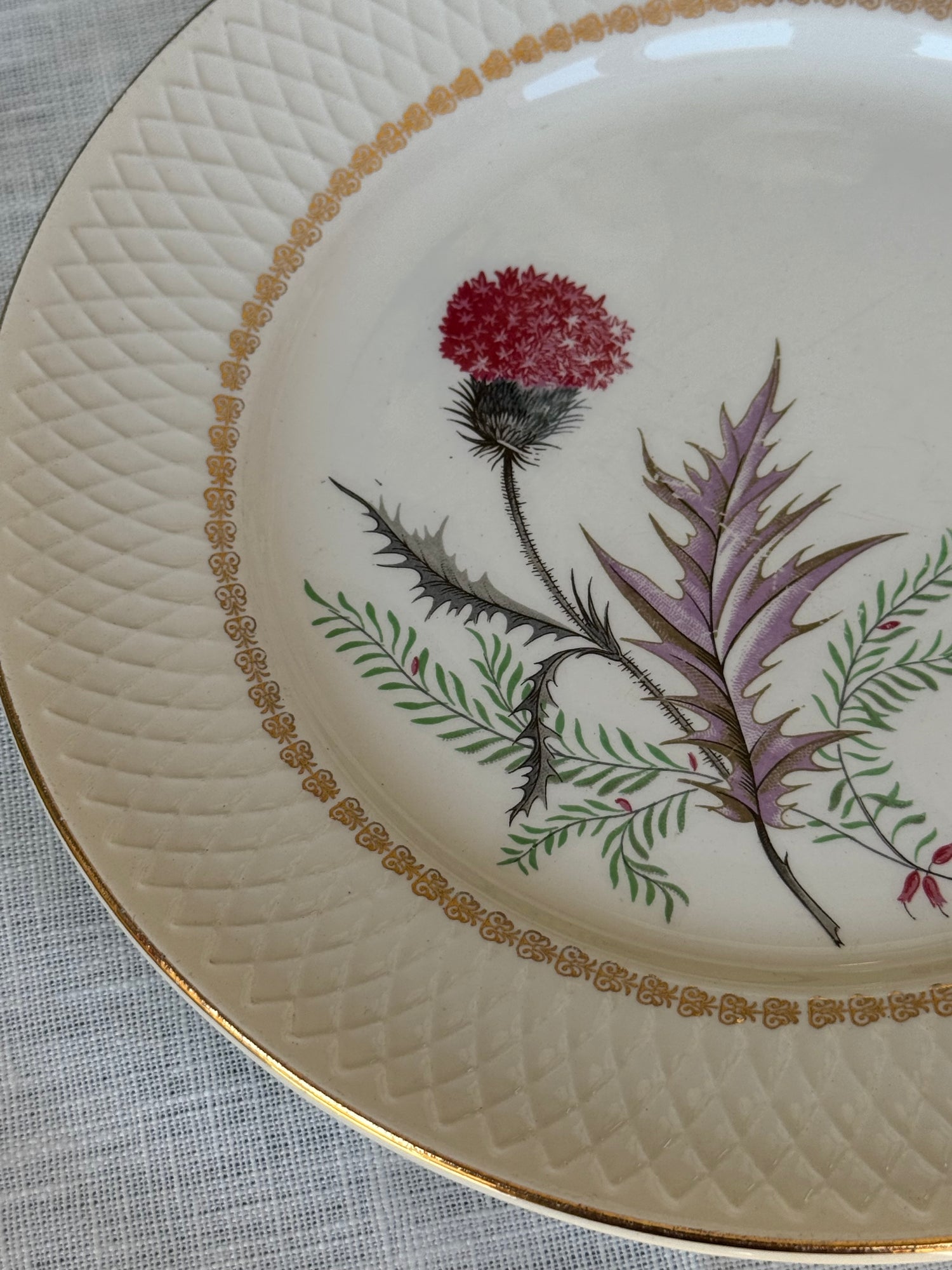 Dettaglio piatto vintage con decoro botanico e bordo lavorato dorato