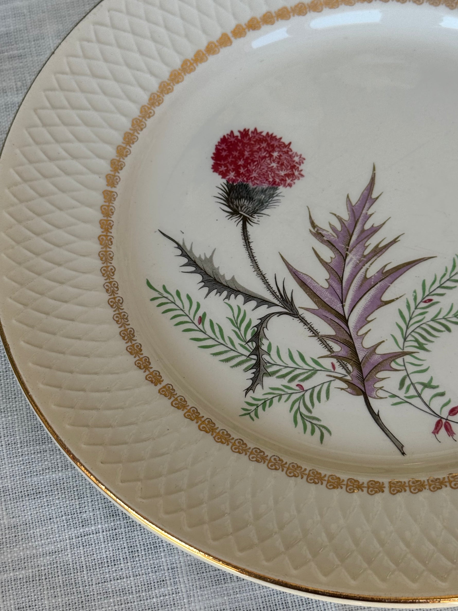 Dettaglio piatto vintage con decoro botanico e bordo lavorato dorato