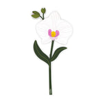 Orchidea Vesta Special Moment in plexiglas decorativo Made in Italy