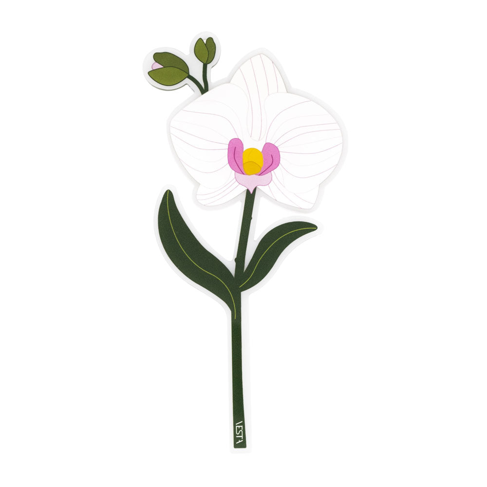 Orchidea Vesta Special Moment in plexiglas decorativo Made in Italy