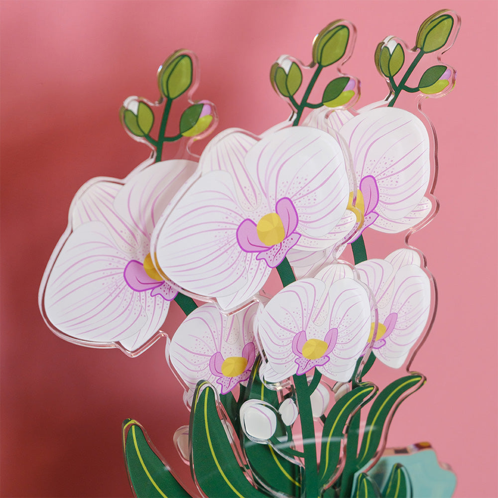 Dettaglio orchidea Funny Flowers Vesta in plexiglas, petali bianchi con sfumature rosa e centro giallo, design Made in Italy