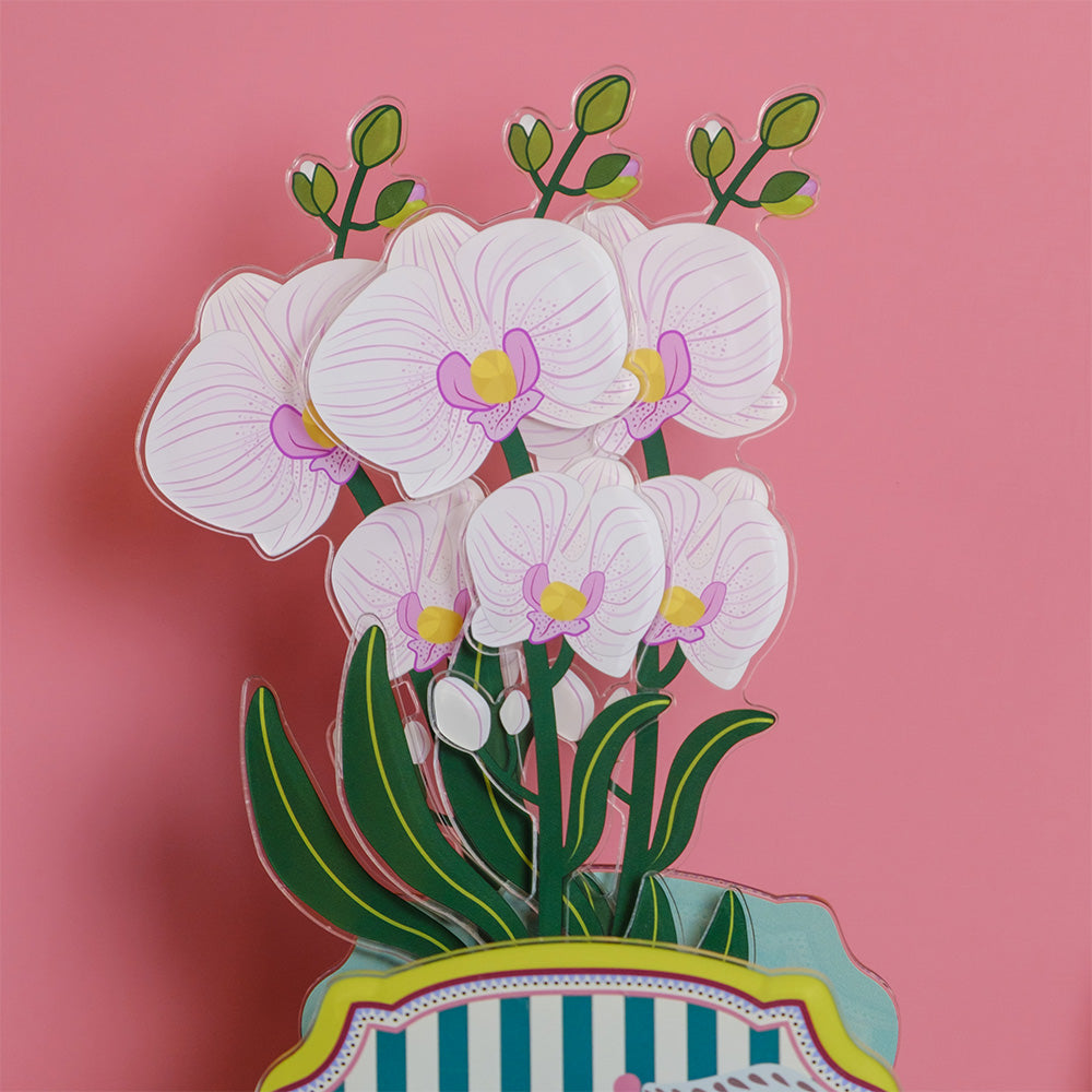 Orchidea Funny Flowers Vesta in plexiglas bianco e rosa, composizione floreale decorativa in vaso su sfondo rosa