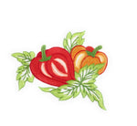 Particolare ricamo a mano con peperoni rosso e arancio con foglie verdi, su cotone bianco Made in Italy