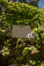 Borsa in paglia naturale Marika Selection appoggiata tra piante verdi in giardino, accessorio estivo elegante e naturale.
