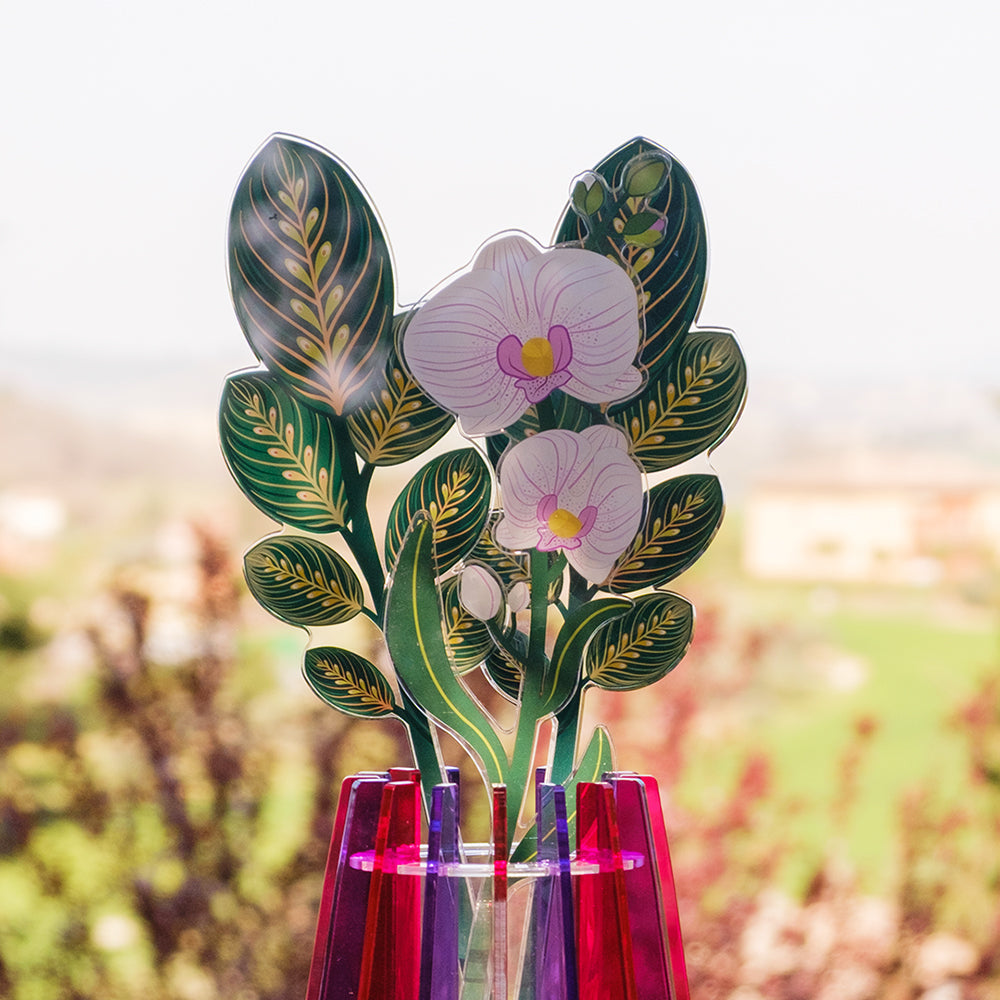 Composizione Vesta Funny Flowers con foglia calathea e orchidea rosa