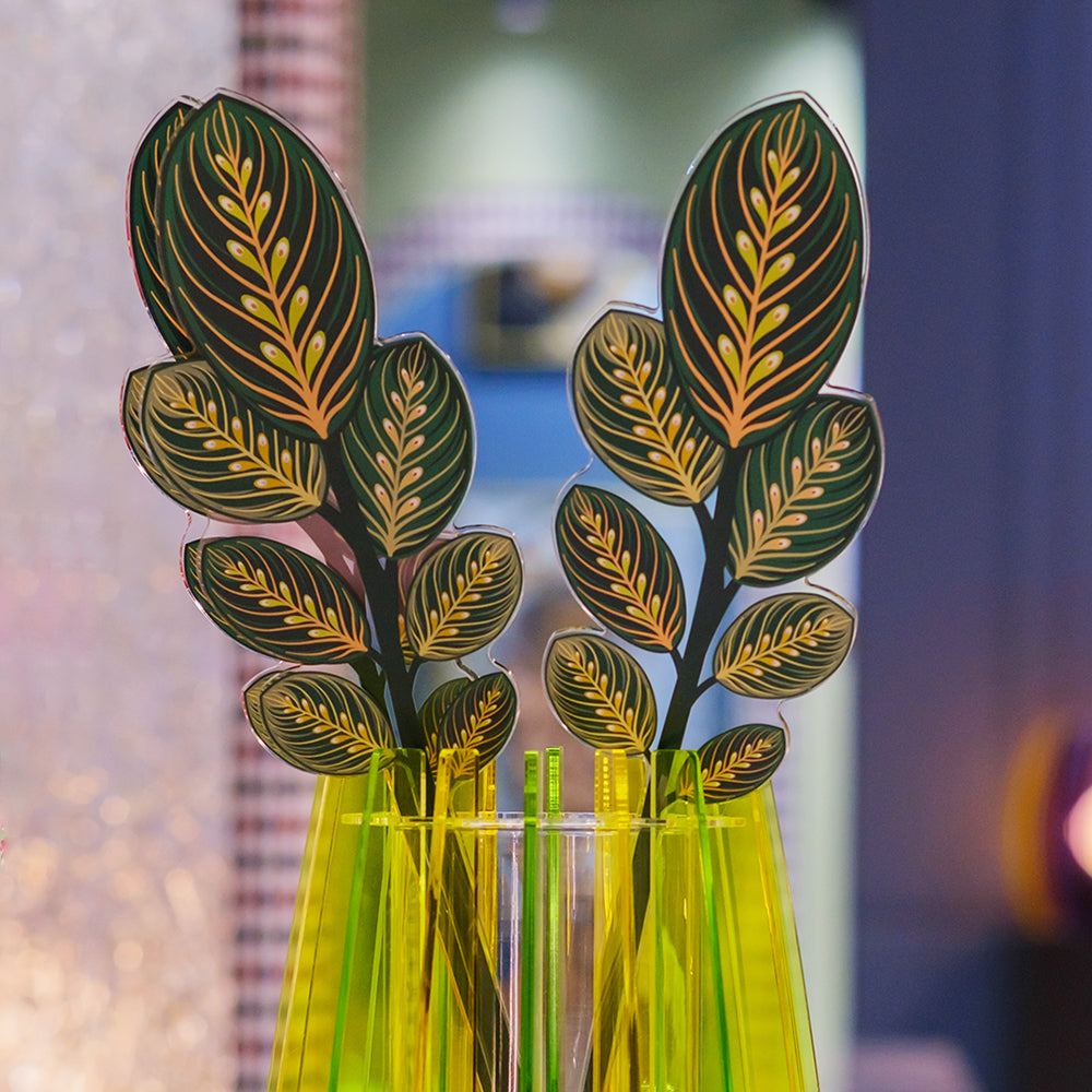 Foglie calathea in vaso Vesta plexiglas design italiano moderno