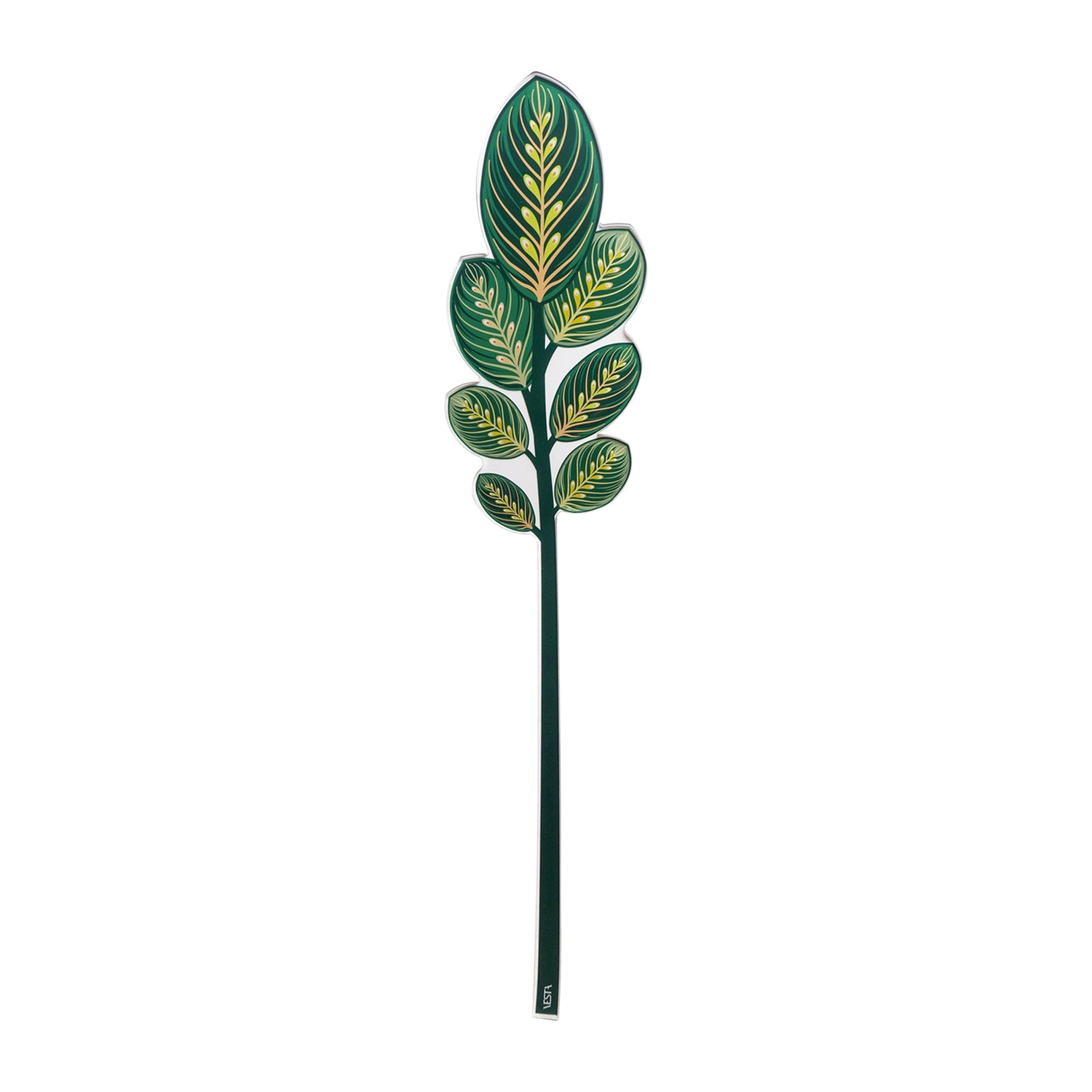 Foglia calathea decorativa Vesta Funny Flowers in plexiglas verde