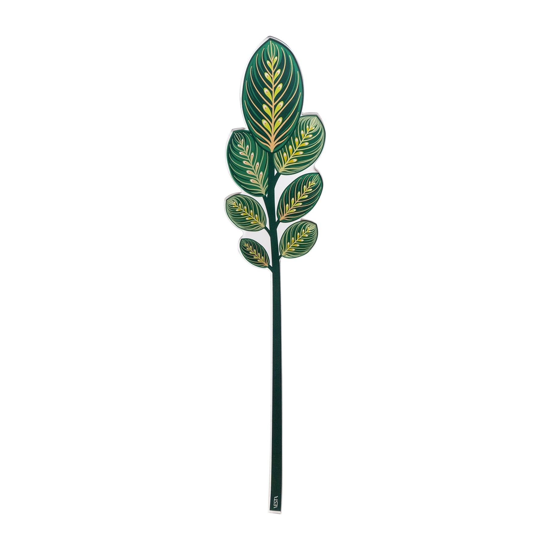 Foglia calathea decorativa Vesta Funny Flowers in plexiglas verde