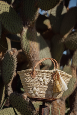 Mini borsa in paglia Marika Selection con ricamo margherite avorio e doppia nappa oro e avorio tra piante di cactus, accessorio estivo chic.