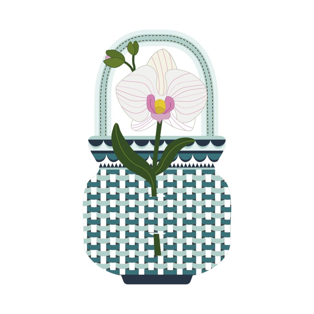 Special Moment Vesta orchidea in plexiglass su cartoncino vasetto: eleganza pura e raffinata.
