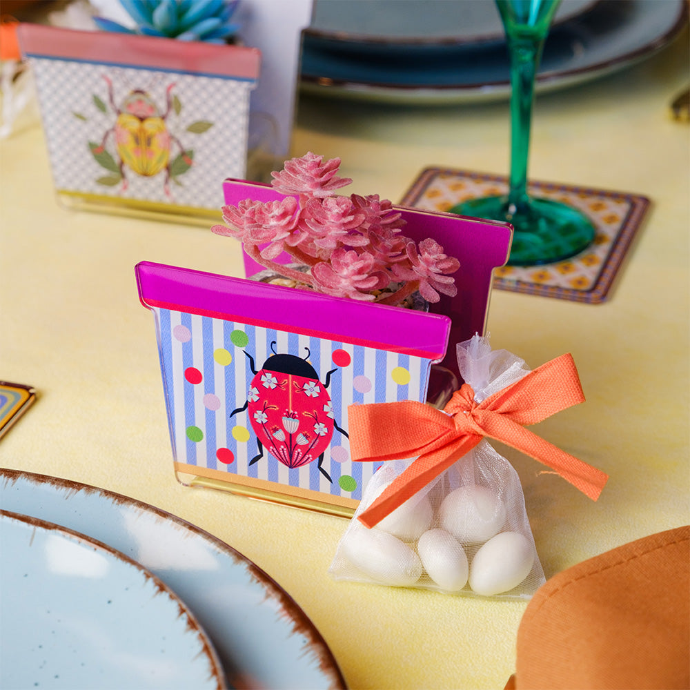 Vasetto portapianta in cristallo acrilico con coccinella rossa, allestimento bomboniera su tavola con sacchetto confetti, collezione JOY