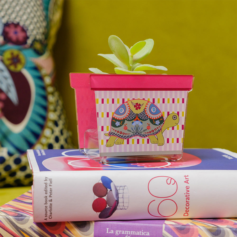 Vasetto portapianta in cristallo acrilico con tartaruga stilizzata su sfondo rosa, allestimento decorativo collezione JOY, idea bomboniera originale