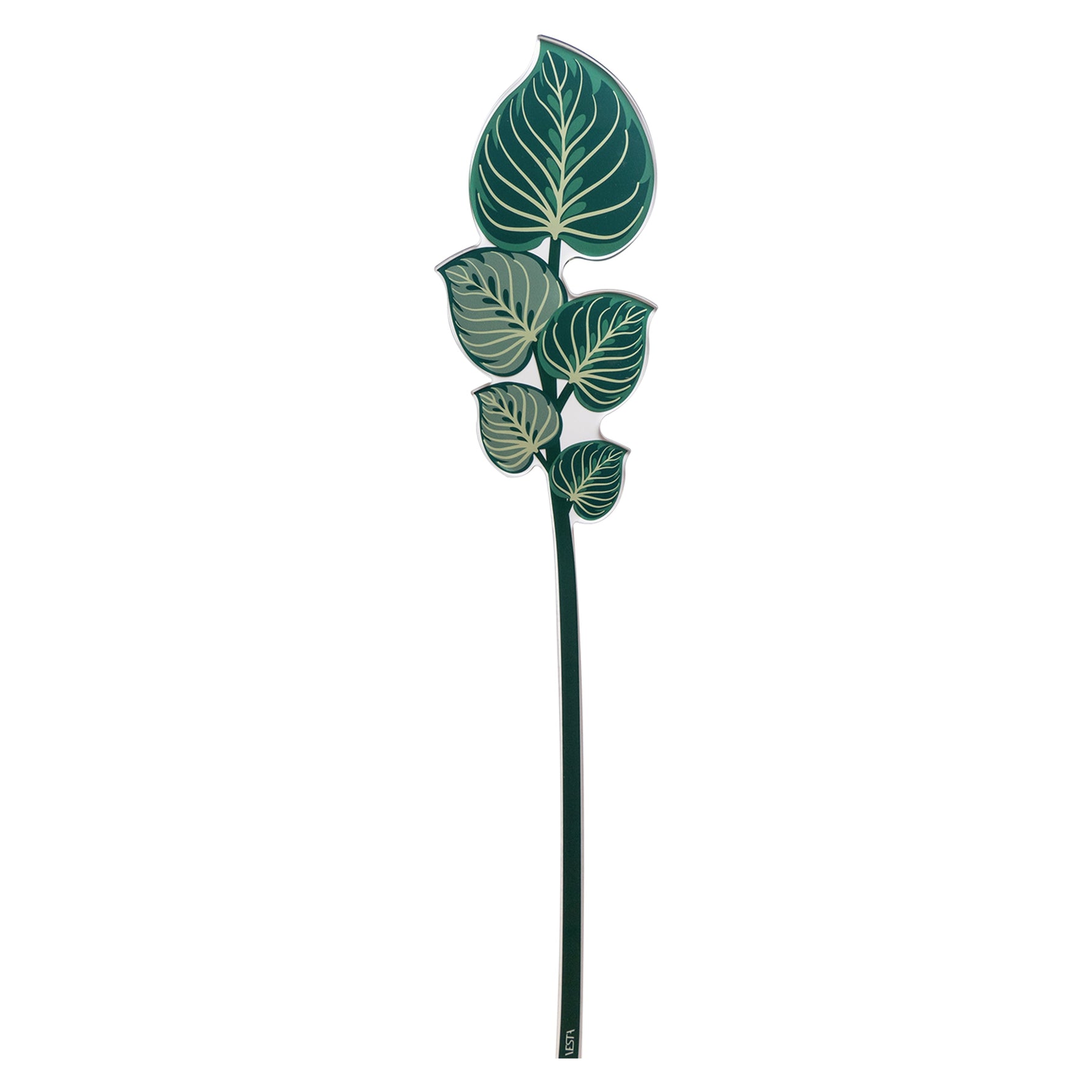 Foglia maranta decorativa Vesta Funny Flowers plexiglas verde