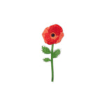 Fiore Papavero Special Moment Vesta Home rosso in plexiglass fatto a mano su sfondo neutro