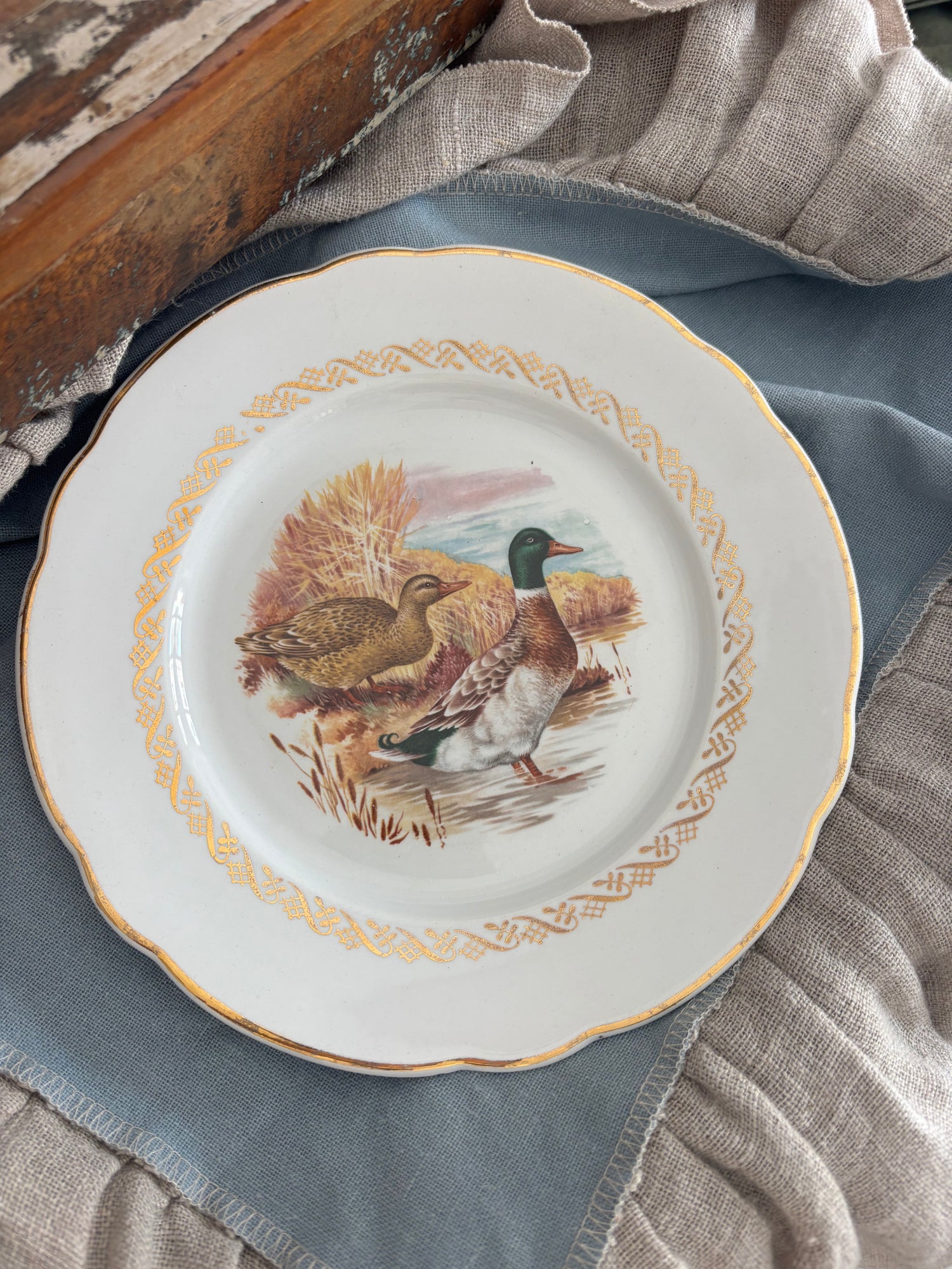 Piatto vintage in porcellana con scena di anatre e bordo oro decorato Ø24 cm
