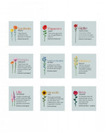 Raccolta di poesie dedicate ai Funny Flowers di Vesta, con il significato simbolico di ciascun fiore: gardenia, papavero, giglio, petunia, nontiscordardimé, mimosa, lillà, girasole e rosa.

