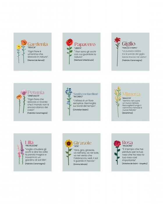 Raccolta di poesie dedicate ai Funny Flowers di Vesta, con il significato simbolico di ciascun fiore: gardenia, papavero, giglio, petunia, nontiscordardimé, mimosa, lillà, girasole e rosa.

