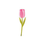 Tulipano rosa Vesta Special Moment in plexiglas decorativo