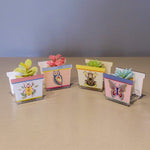 ollezione JOY composta da quattro vasetti porta pianta in acrilico decorati con farfalla, scarabeo, gufo e rana, con piccole piante decorative