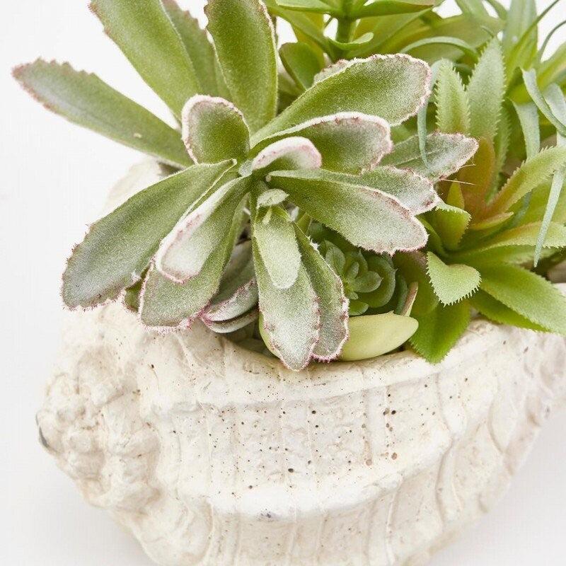 Vaso in cemento a forma di conchiglia con piante artificiali Succulent - Enzo De Gasperi - MARIKA DE PAOLA - HOME DECOR