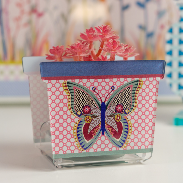 Vasetto JOY in acrilico decorato con farfalla colorata, con piantina rosa decorativa, ambientato su superficie chiara.