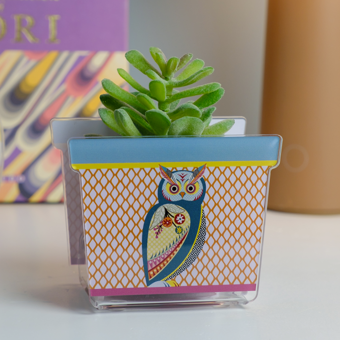 Vasetto JOY in acrilico con illustrazione di gufo multicolore e piantina succulenta verde, fotografato su ripiano moderno.
