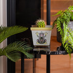 Vasetto JOY con decorazione a rana, esposto su tavolino accanto a piante verdi in un ambiente moderno.